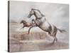 Wild Horses II-Ruane Manning-Stretched Canvas