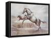 Wild Horses II-Ruane Manning-Framed Stretched Canvas