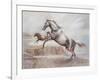 Wild Horses II-Ruane Manning-Framed Art Print