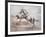 Wild Horses II-Ruane Manning-Framed Art Print