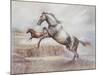 Wild Horses II-Ruane Manning-Mounted Art Print