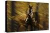 Wild Horses in the Badlands I-Gordon Semmens-Stretched Canvas