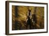 Wild Horses in the Badlands I-Gordon Semmens-Framed Giclee Print