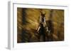 Wild Horses in the Badlands I-Gordon Semmens-Framed Giclee Print