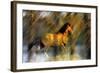 Wild Horses in the Badlands II-Gordon Semmens-Framed Giclee Print