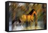 Wild Horses in the Badlands II-Gordon Semmens-Framed Stretched Canvas