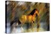 Wild Horses in the Badlands II-Gordon Semmens-Stretched Canvas