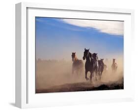 Wild Horses in the High Desert near Sun River, Oregon, USA-Janis Miglavs-Framed Premium Photographic Print