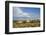 Wild Horses in Theodore Roosevelt National Park, North Dakota, Usa-Chuck Haney-Framed Photographic Print