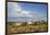 Wild Horses in Theodore Roosevelt National Park, North Dakota, Usa-Chuck Haney-Framed Photographic Print