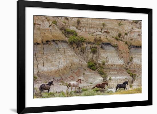 Wild horses in Theodore Roosevelt National Park, north Dakota, USA-Chuck Haney-Framed Photographic Print