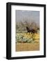 Wild Horses in Tonto National Forest, Phoenix Arizona-Kelly Richardson-Framed Photographic Print