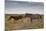 Wild Horses in Utah-watchtheworld-Mounted Photographic Print