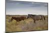 Wild Horses in Utah-watchtheworld-Mounted Photographic Print