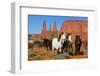 Wild horses, Monument valley tribal park, Navajo reserve, Utah, USA. April.-Sylvain Cordier-Framed Photographic Print