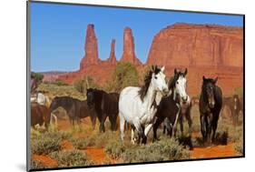Wild horses, Monument valley tribal park, Navajo reserve, Utah, USA. April.-Sylvain Cordier-Mounted Photographic Print