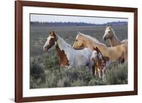 Wild horses, Mustangs-Ken Archer-Framed Photographic Print