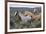 Wild horses, Mustangs-Ken Archer-Framed Photographic Print