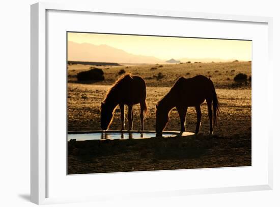 Wild Horses of the Namib-Grobler du Preez-Framed Photographic Print