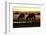 Wild Horses of the Namib-Grobler du Preez-Framed Photographic Print