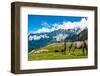 Wild Horses Pasturing on Mountain Environment. Beautiful Nature Background-Banana Republic images-Framed Photographic Print