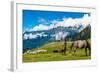 Wild Horses Pasturing on Mountain Environment. Beautiful Nature Background-Banana Republic images-Framed Photographic Print