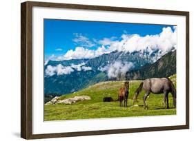 Wild Horses Pasturing on Mountain Environment. Beautiful Nature Background-Banana Republic images-Framed Photographic Print