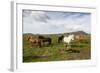 Wild Horses, Reykjanes Peninsula, Iceland, Polar Regions-Yadid Levy-Framed Photographic Print