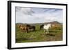 Wild Horses, Reykjanes Peninsula, Iceland, Polar Regions-Yadid Levy-Framed Photographic Print