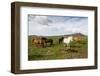 Wild Horses, Reykjanes Peninsula, Iceland, Polar Regions-Yadid Levy-Framed Photographic Print