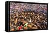 Wild Horses Rounded Up During Rapa Das Bestas (Shearing of the Beasts) Festival. Sabucedo, Galicia-Peter Adams-Framed Stretched Canvas