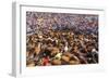 Wild Horses Rounded Up During Rapa Das Bestas (Shearing of the Beasts) Festival. Sabucedo, Galicia-Peter Adams-Framed Photographic Print