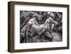 Wild Horses Rounded Up During Rapa Das Bestas (Shearing of the Beasts) Festival. Sabucedo, Galicia-Peter Adams-Framed Photographic Print
