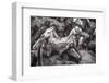 Wild Horses Rounded Up During Rapa Das Bestas (Shearing of the Beasts) Festival. Sabucedo, Galicia-Peter Adams-Framed Photographic Print