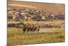 Wild Horses Running Outside Neighborhood, Reno, Nevada, USA-Jaynes Gallery-Mounted Photographic Print