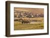 Wild Horses Running Outside Neighborhood, Reno, Nevada, USA-Jaynes Gallery-Framed Photographic Print