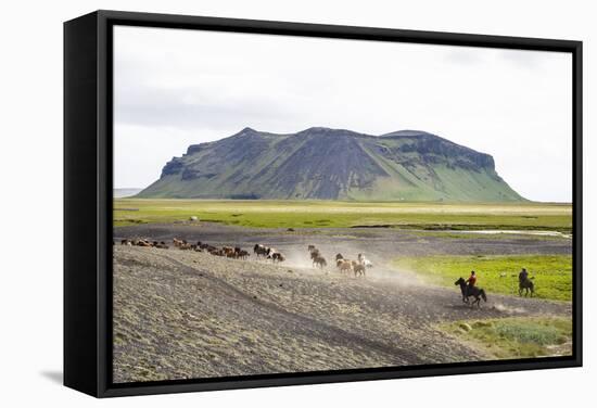 Wild Horses Running, South Iceland, Iceland, Polar Regions-Yadid Levy-Framed Stretched Canvas