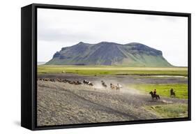 Wild Horses Running, South Iceland, Iceland, Polar Regions-Yadid Levy-Framed Stretched Canvas