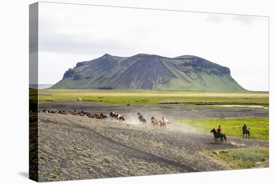 Wild Horses Running, South Iceland, Iceland, Polar Regions-Yadid Levy-Stretched Canvas