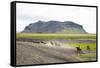 Wild Horses Running, South Iceland, Iceland, Polar Regions-Yadid Levy-Framed Stretched Canvas