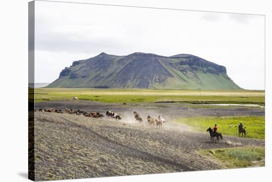 Wild Horses Running, South Iceland, Iceland, Polar Regions-Yadid Levy-Stretched Canvas