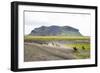 Wild Horses Running, South Iceland, Iceland, Polar Regions-Yadid Levy-Framed Photographic Print