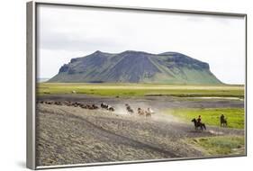 Wild Horses Running, South Iceland, Iceland, Polar Regions-Yadid Levy-Framed Photographic Print