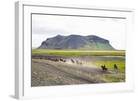 Wild Horses Running, South Iceland, Iceland, Polar Regions-Yadid Levy-Framed Photographic Print