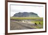 Wild Horses Running, South Iceland, Iceland, Polar Regions-Yadid Levy-Framed Photographic Print