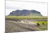 Wild Horses Running, South Iceland, Iceland, Polar Regions-Yadid Levy-Mounted Photographic Print