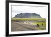 Wild Horses Running, South Iceland, Iceland, Polar Regions-Yadid Levy-Framed Photographic Print