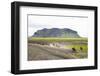 Wild Horses Running, South Iceland, Iceland, Polar Regions-Yadid Levy-Framed Photographic Print