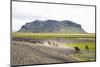 Wild Horses Running, South Iceland, Iceland, Polar Regions-Yadid Levy-Mounted Photographic Print