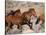 Wild Horses Running Through Desert, CA-Inga Spence-Stretched Canvas